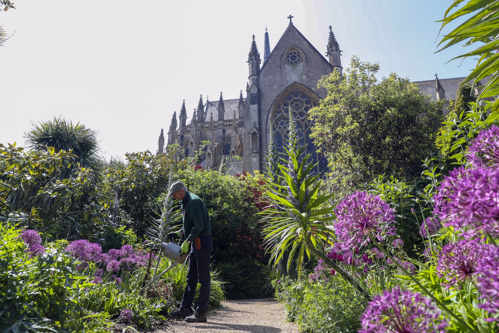 A person waters plants in a garden with a large Gothic-style cathedral in the background on a bright sunny day.