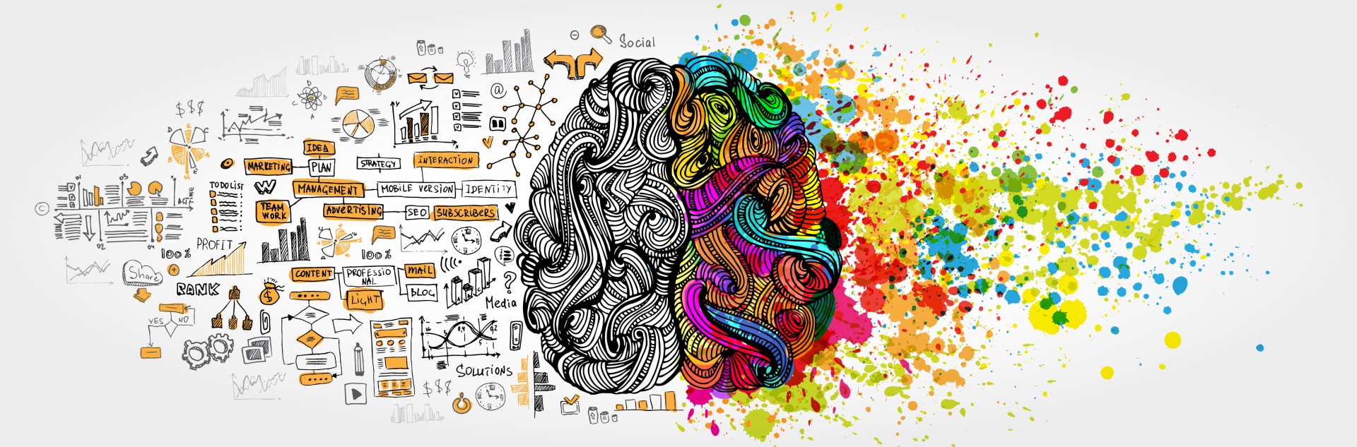 Illustration of a brain: left side features technical drawings, graphs, and text; right side is colorful with abstract splashes, representing analytical versus creative thinking.